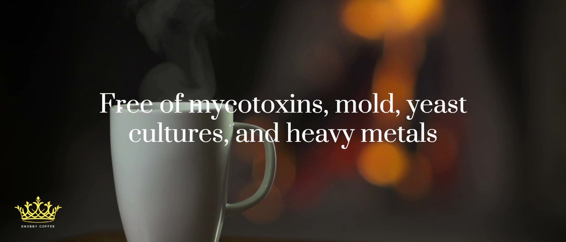 Welcome to Snobby Coffee